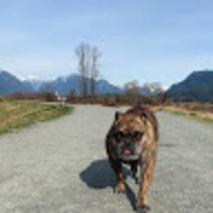 Meet your Posher, Busterboy